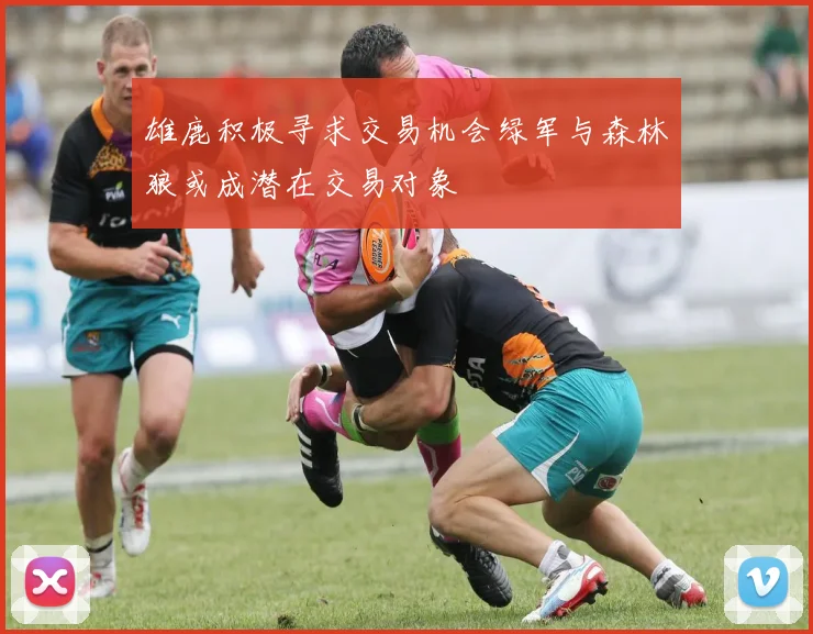 雄鹿积极寻求交易机会绿军与森林狼或成潜在交易对象