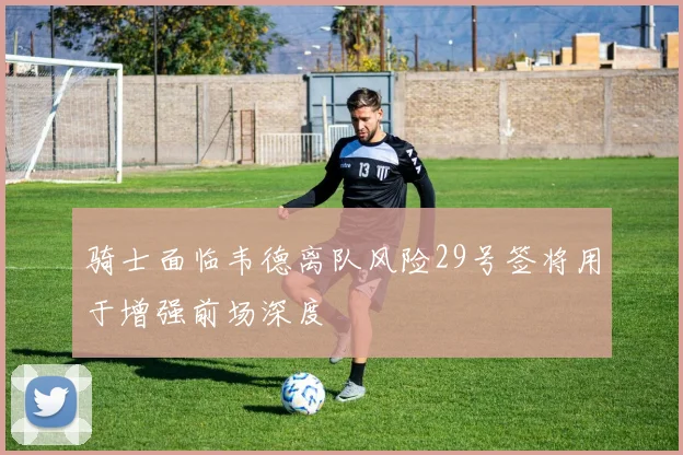 骑士面临韦德离队风险29号签将用于增强前场深度